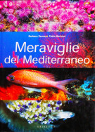 <h0>Meraviglie del Mediterraneo</h0>