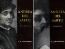 Andrea Del Sarto 2 Voll.:Vol. I Text and Illustrations Vol. II Catalogue Raisonné