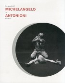 Lo sguardo di Michelangelo  Antonioni e le arti