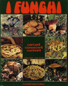 <h0>I Funghi <span><i>Cercarli, Conoscerli, Cucinarli</i></Span></h0>