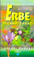 <h0>Erbe <span><i>di campi e prati</i></Span></h0>