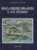 Mosaici di S. Apollinare nuovo di Ravenna Il Ciclo Cristologico