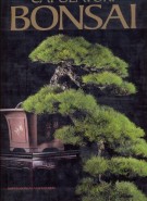 Capolavori bonsai