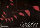 Calder Scultore dell'aria