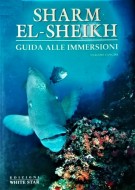 Sharm El-Sheikh Guida alle immersioni